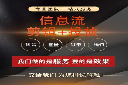 某某SEM团队成功案例：广告投放策略揭秘